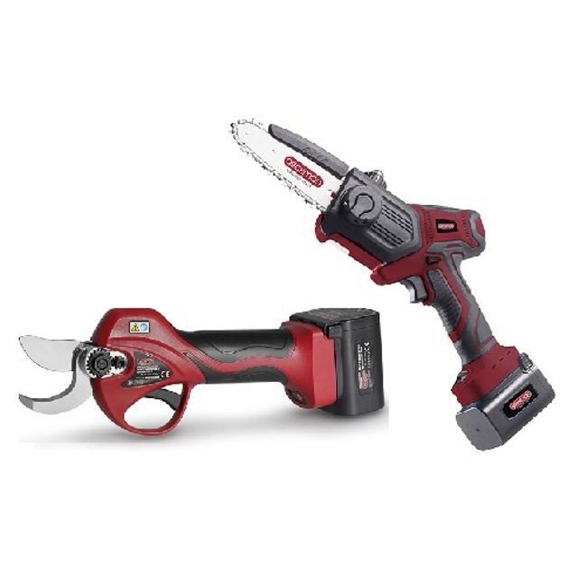 Vendita online Kit Forbice a batteria cordless FE08-32 + potatore PE02SB